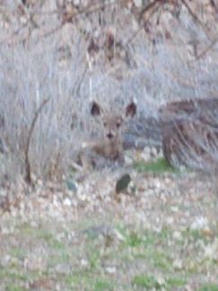 IMG_20130316_165000.jpg